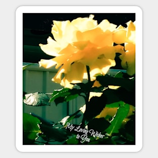 Wish Flower of Translucent Yellow Sticker